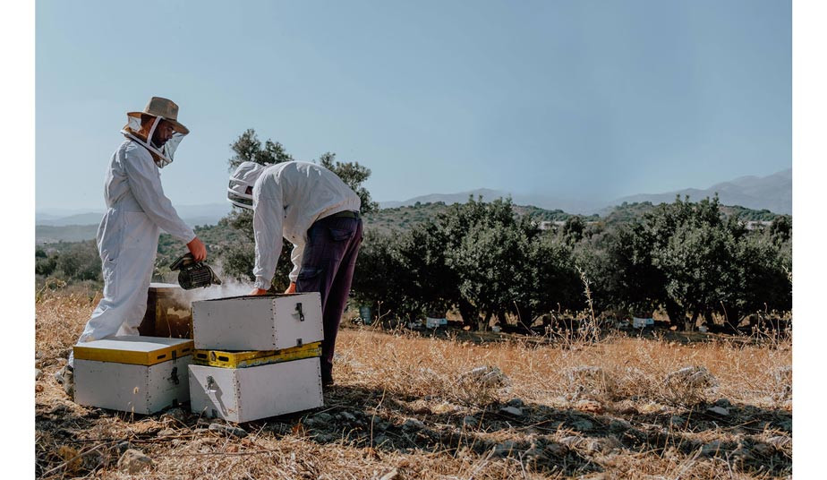 A Taste Of Real Crete