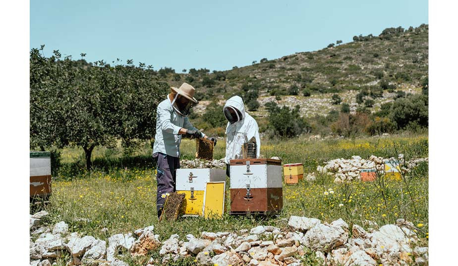 A Taste Of Real Crete