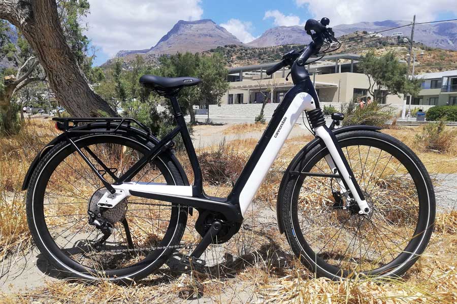 E-Trekking Bike