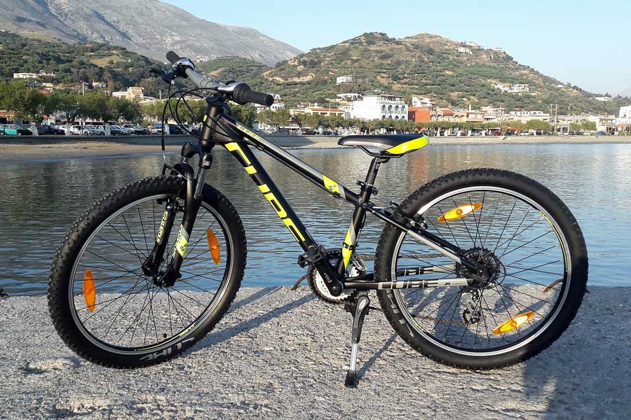 Mountain Bike Unisex